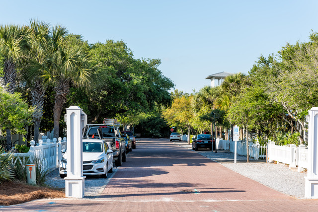 Watercolor Florida, November 2019